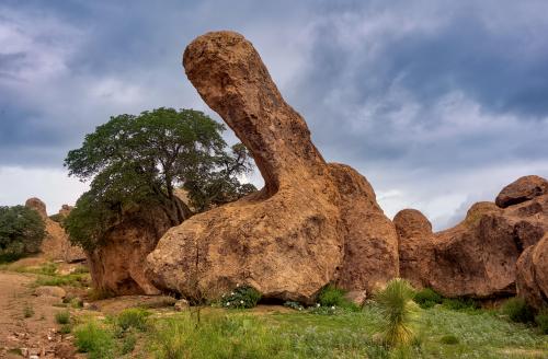 City of Rocks: State Park near Silver City, New Mexico