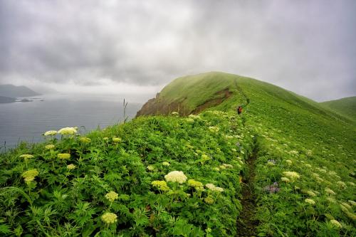 Look At These Beautiful Mountains Covered With Flowers