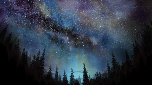 Meteors, Trees, Sky, Night, Falling Stars