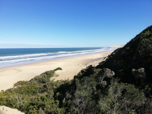 Dunes of Alexandria, SA