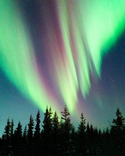 A colorful northern lights display in Fort Yukon, AK last week