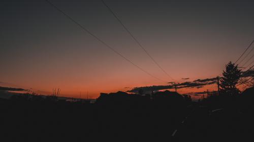Sunset Love