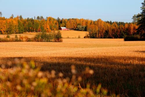 Countryside