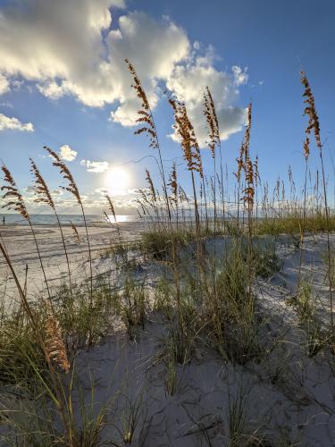 Beautiful Sand Dunes T.I. Florida