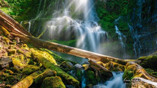 Afternoon at Proxy Falls in the Willamette National Forest, Oregon