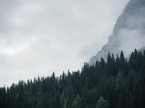 Misty Mountain - Tyrol, Austria