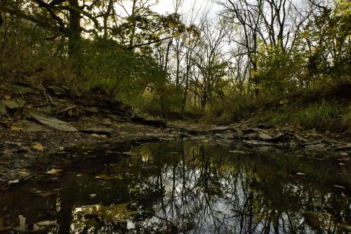 Autumn at Fishing River, MO