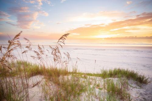 Sunrise on the dunes, St. Augustine, Florida