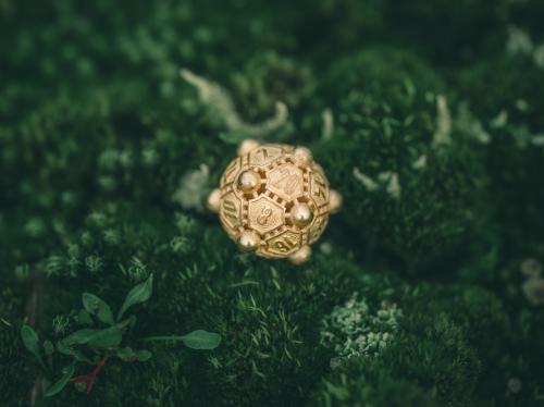 D20 lying in moss