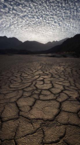 Death Valley Mud Cracks