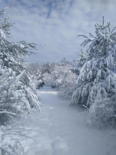 Snowy morning in Northeastern Pennsylvania