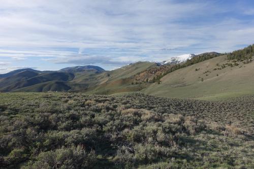 Rolling hills of the Montana-Idaho border