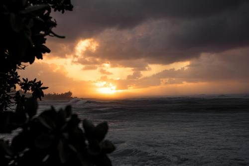 Oahu North Shore, Hawaii