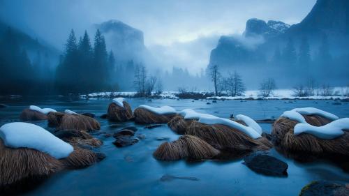 Snow covered mountains and trees