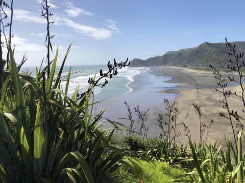 Piha Beach, North Island, NZ