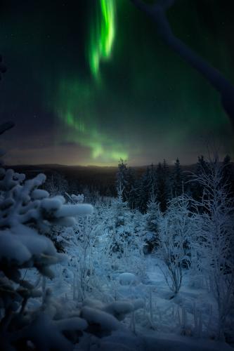 Where silence dwells. Northern lights above rural Central Finland. [] 