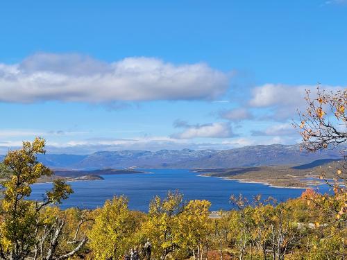 Hardangervidda Norway