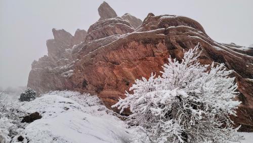 Snowing hard at Red Rocks