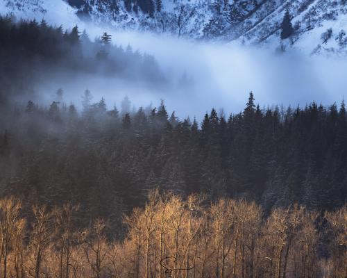 Winter sunrise in Juneau, Alaska