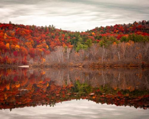 Perfect reflections in Vermont   IG: @rondinasnaps