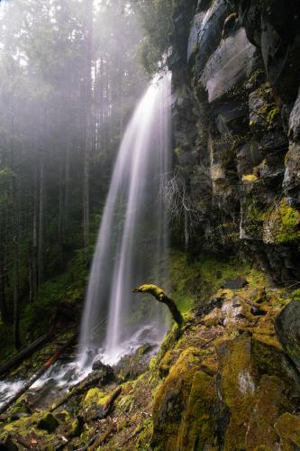 Seasonal falls in Washington State  @stupidguyonmyphoneig