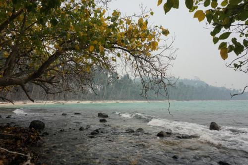 Kepayang Island, West Kalimantan, Indonesia