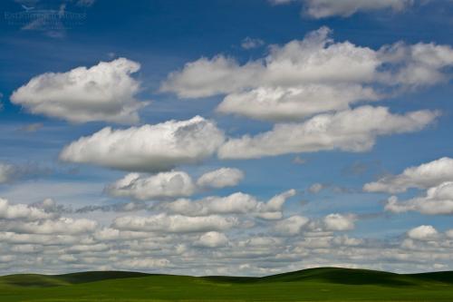 Windows Desktop - almost; Glenn Co., California