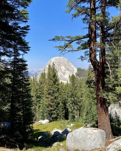 Granite monolith standing tall, Tuolumne Meadows, Yosemite, CA