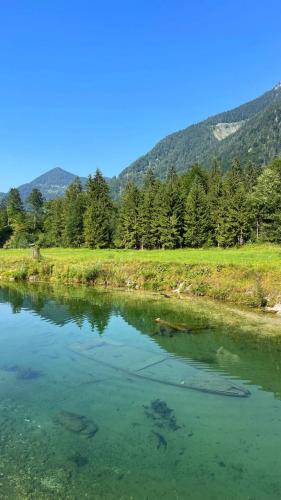 Wildpark Cumberland, Grünau im Almtal, Upper Austria