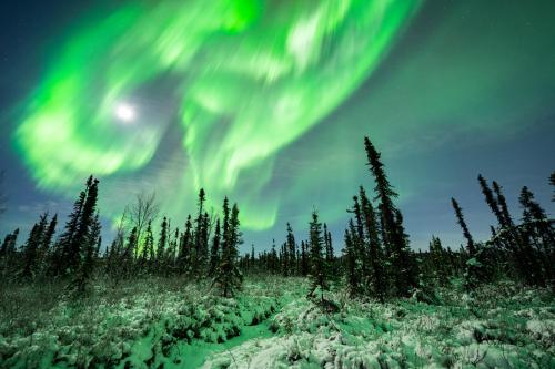 The Aurora Borealis on Friday, 5 min from my house in Fairbanks, AK