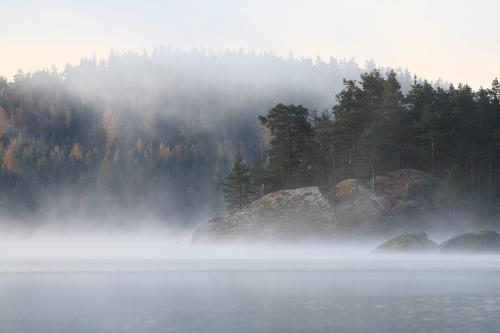 Misty autumn morning in Tiveden National Park, Sweden