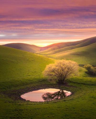 Green Hills of California, USA.