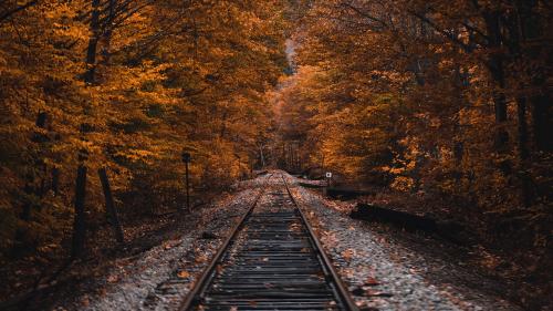 Train Track in New Hampshire