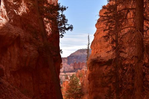 Bryce Canyon, Utah