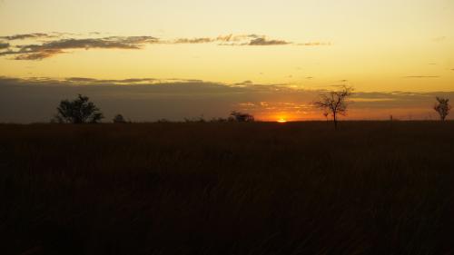 Dusk over the Savannah, Madagascar Region Boeny