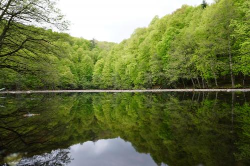 Yedigoller National Park