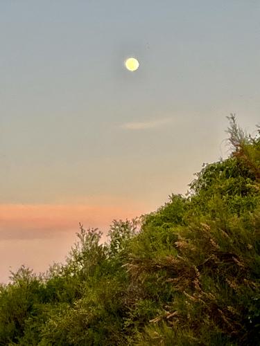 Moonrise over the Gila River, Duncan, AZ