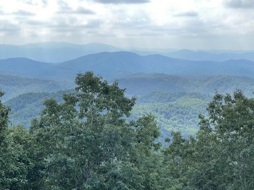 Cohutta Wildlife Management Area