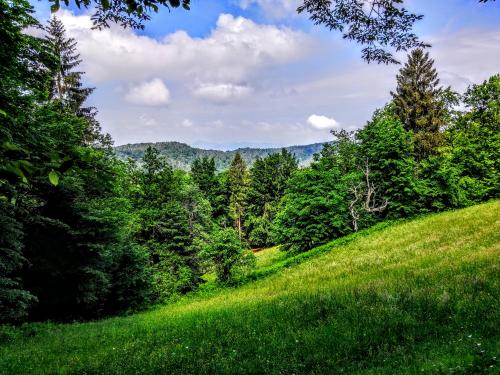 In need of something green? Slovenia