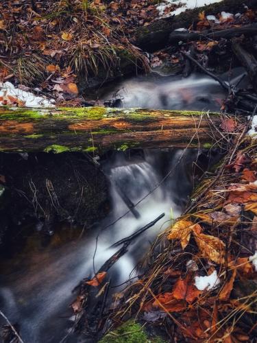 Bufflehead Trail, Frontenac Provincial Park, Ontario Canada