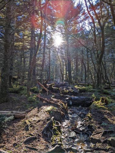 Profile Trail, Boone NC