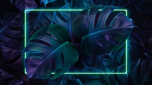 Tropical Neon