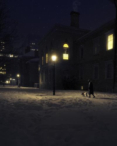 Walking the dog in Toronto