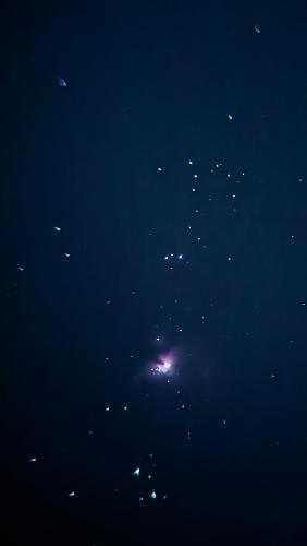 Orion Nebula taken from my OnePlus phone through Celestron Binoculars