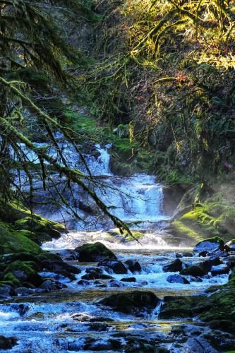 Sweet Creek Falls, Oregon. [3456x5184]  Exploring Oregon's beautiful waterfalls and trying out my new zoom lens.