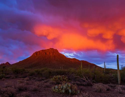 Sunset Mammatus Clouds in Southern Arizona