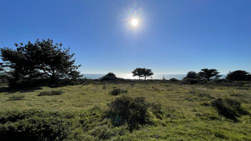 Mavericks Beach Hike