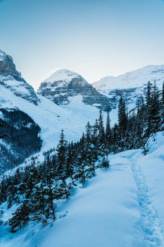 Mt. Aberdeen, Alberta, Canada