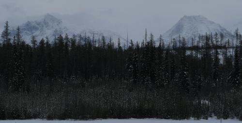 Snowshoeing around Glacier National Park in the Winter  @seanaimages