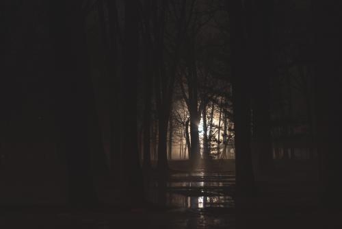 Foggy nights in the park.